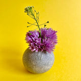 Rock Bud Vases