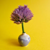 Tiny Vases