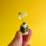 Tiny Vases