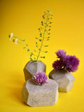 Rock Bud Vases