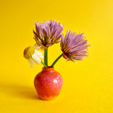 Tiny Vases