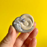 Worry Stones - Snails